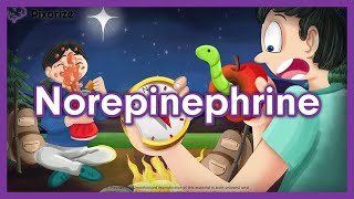 Norepinephrine Mnemonic for NCLEX  Nursing Pharmacology [upl. by Atronna]