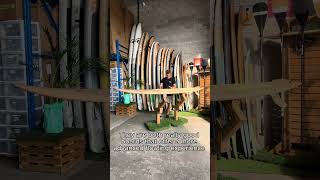 LOGG 90  96 by TAIGA BOARD – SUP Surf Review [upl. by Aihtekal763]