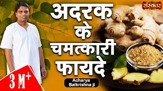 अदरक के चमत्कारी औषधीय गुण  Adrak Ke Fayde  Acharya Balkrishna Ayurveda In Hindi  Sanskar TV [upl. by Fortna]