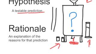 hypothesis and rationale [upl. by Yadnus]