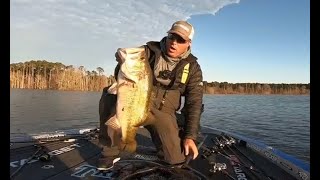 TOP 5 BIGGEST BASS CAUGHT IN TOURNAMENTS compilation [upl. by Cormack207]