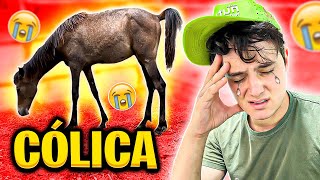 Meu CAVALO Deu CÓLICA 😭 [upl. by Labors]