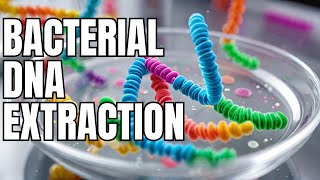 DNA ISOLATION FROM BACTERIA [upl. by Treblig464]