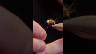 Fly Tying Tutorial  Tying a Caddis Bomb Nymph [upl. by Larry]