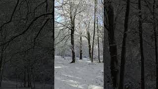 PRIMI FIOCCHI DI NEVE IN ABRUZZO [upl. by Tenenbaum]