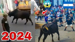 Tope de Toros Masaya Nicaragua 2024 Tope Toro Masaya 2024 [upl. by Kitty120]