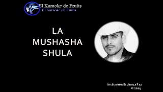 Espinoza Paz La Mushasha Shula karaoke [upl. by Anoyek322]