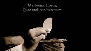 O Salutaris Hostia  Eucharistic Hymn by Saint Thomas Aquinas with lyrics [upl. by Godderd]