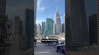 Amazing Free Rooftop at Stavros Niarchos Foundation Library in NYC [upl. by Ilocin]