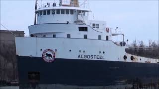 Ship ALGOSTEEL Downbound below Lock 7 Welland Canal 2014 [upl. by Marabelle45]