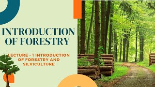 FORESTRY  Lec 1 INTRODUCTION TO Forestry  Go Agro [upl. by Irbua437]