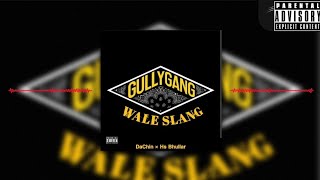 GULLY GANG WALE SLANG  DaChin  prodby hsbhullar  GULLYGANG Red Bull 64 Bars [upl. by Navak246]