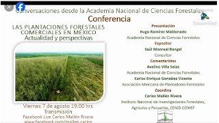 Las Plantaciones Forestales Comerciales en México Actualidad y Perspectivas [upl. by Nerin]