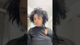 WashampGo ✌🏽 curlyhair naturalhair washandgo washandgoroutine hair haircare hairstyle shorts [upl. by Zerat600]