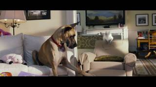 Marmaduke  In Theaters June 4  Official Trailer HD  20th Century FOX [upl. by Nirej516]