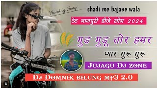 tor mor pyaar suru suru  New Theth nagpuri dj song 2024  गुड गुडू Theth Dj Rimix 2024 [upl. by Keene]