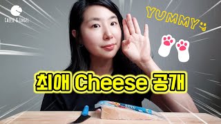 맛있는 치즈 추천 나만 알고싶은 치즈cheese 공개합니당 [upl. by Eecyac]