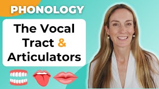 The Articulators amp Vocal Tract  Phonology [upl. by Cassil]