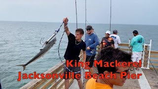 Incredible Jacksonville Beach Pier Kingfish Bite [upl. by Violetta]