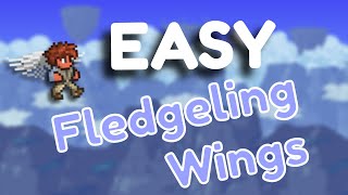 How to get Fledgling Wings in Terraria 1449 [upl. by Iahc]