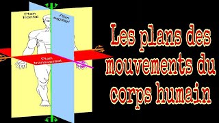 Les plans des mouvementsplans de référence anatomique avec animation [upl. by O'Gowan]