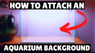 How to EASILY attach a Background to your Aquarium [upl. by Nivert]