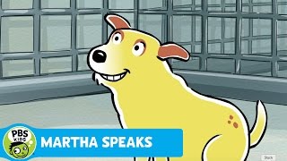 MARTHA SPEAKS  Puppy Martha  PBS KIDS [upl. by Nohs]