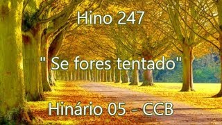 Hino 247  Se fores tentado  H5 CCB [upl. by Yezdnil]