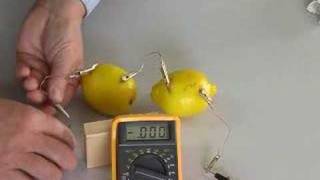 Create a Lemon Battery [upl. by Alih]