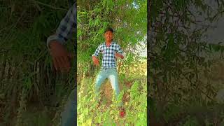 dance funny comedy dancer bhojpuri instagram youtubeshorts trending [upl. by Eilitan]