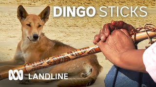 Making dingo safety sticks on the worlds largest sand island  Landline  ABC Australia [upl. by Derna796]