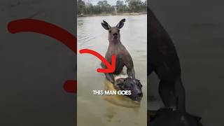 Dog Saved from Kangaroo Attack viral [upl. by Litnahc]