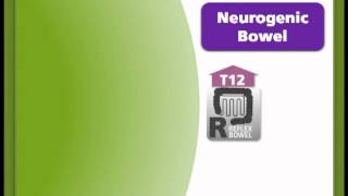 Bowel 13  Neurogenic Bowel [upl. by Neelie29]