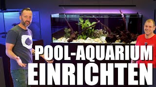 SO richtet man ein PFLEGELEICHTES 440L Süßwasseraquarium ein bei aquaemotionsaquarienbau [upl. by Naellij]