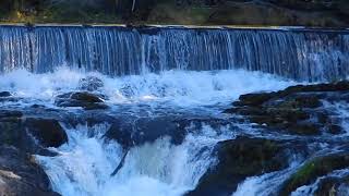 Madam Brett Park Walking Tour Tioronda Falls Waterfall Fishkill Creek Beacon New York USA 2020 [upl. by Ykcub716]