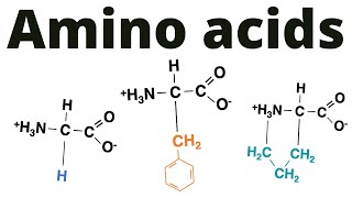 Classification of Amino acids memorize [upl. by Aramaj]