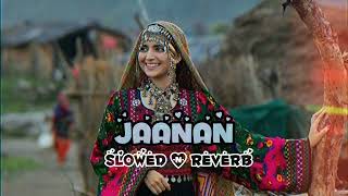 Janan Da Shpago Khwaindo Ror De  Gul Panra  Pashto Hit Song  Tang Takoor [upl. by Sukhum681]