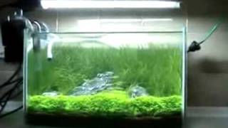 Practical Fishkeeping George Farmers nano tank [upl. by Onibag]