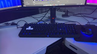 Razer Blackwidow Elite Yellow Switches Sound Test [upl. by Rehptosirhc]