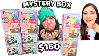 FINALLY FOUND MoriahElizabeth Mini Dessert Plushies Mystery Box Review [upl. by Lucio]