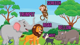 Learn Animal Sounds With Us [upl. by Nilerual]