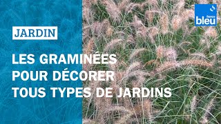 Les graminées pour décorer tous types de jardins [upl. by Alokin]