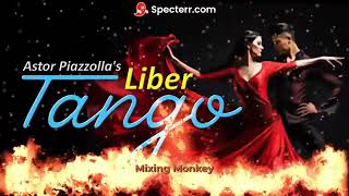 Astor Piazzolla  LiberTango Connce ReMix [upl. by Issi]