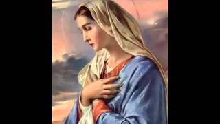 Salve Regina  Gregorian Chant [upl. by Windy]