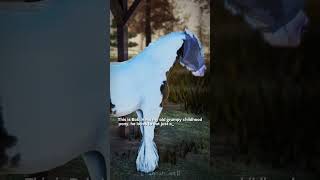 Meet my horses  RP  maplespringseventing strideway horse roblox edit showjumping [upl. by Giacomo]