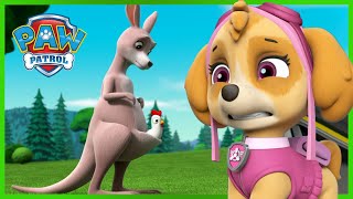 Pups Save a Missing Kangaroo  PAW Patrol Episode  Cartoons for Kids [upl. by Imalda]