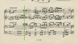 Arnold Schönberg Pelleas and Melisande Excerpt [upl. by Ycram705]