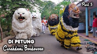 KIRAB CAN MACANAN SINGO MANGGALA DAN DRUMBAND MAONG REMAS DI PETUNG CURAHDAMI BONDOWOSO PART5 [upl. by Decima490]