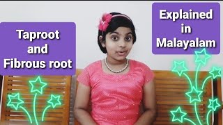 Taproot and Fibrous root explained in Malayalam  Episode 6 [upl. by Alleuqcaj]