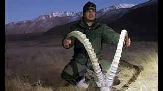 MID ASIAN IBEX HUNTING KYRGYZSTAN MrHasan YUKSEL amp TURKISH FRONTIER [upl. by Droffats]